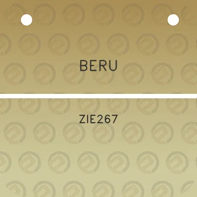 beru-zle267