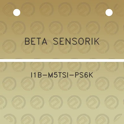 beta-sensorik-i1b-m5tsi-ps6k