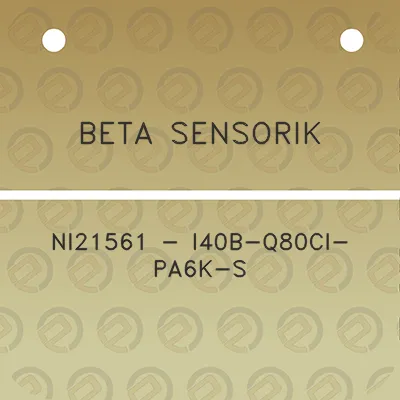 beta-sensorik-ni21561-i40b-q80ci-pa6k-s