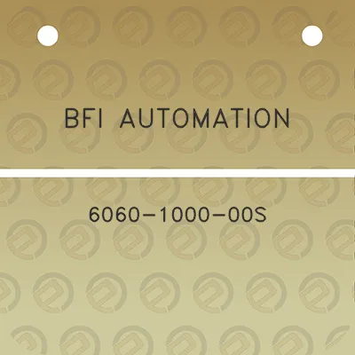 bfi-automation-6060-1000-00s