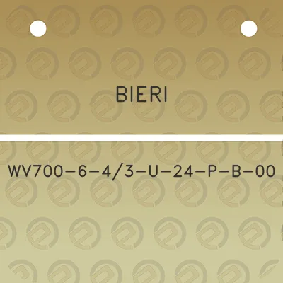 bieri-wv700-6-43-u-24-p-b-00