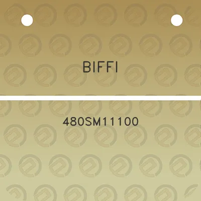 biffi-480sm11100