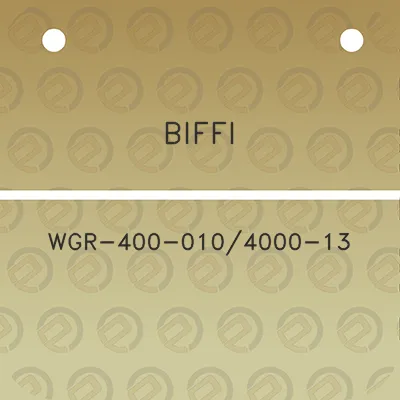 biffi-wgr-400-0104000-13