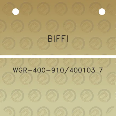 biffi-wgr-400-910400103-7