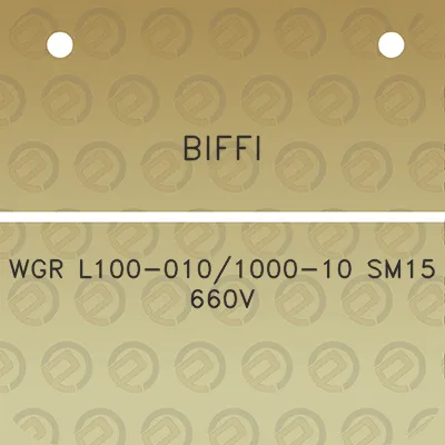 biffi-wgr-l100-0101000-10-sm15-660v