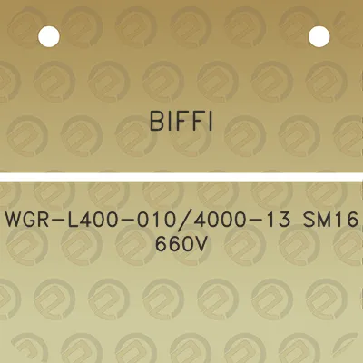 biffi-wgr-l400-0104000-13-sm16-660v