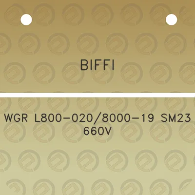 biffi-wgr-l800-0208000-19-sm23-660v