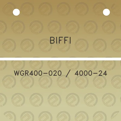 biffi-wgr400-020-4000-24