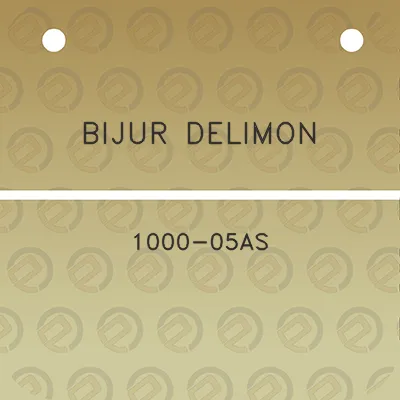 bijur-delimon-1000-05as