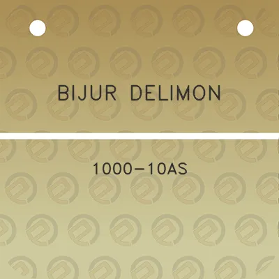 bijur-delimon-1000-10as