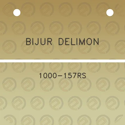 bijur-delimon-1000-157rs