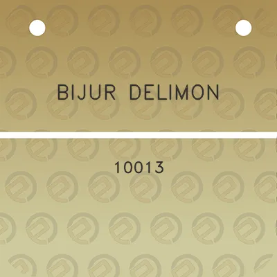 bijur-delimon-10013