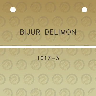 bijur-delimon-1017-3