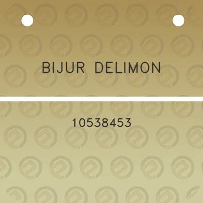 bijur-delimon-10538453