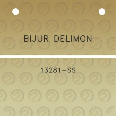 bijur-delimon-13281-ss