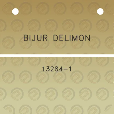 bijur-delimon-13284-1