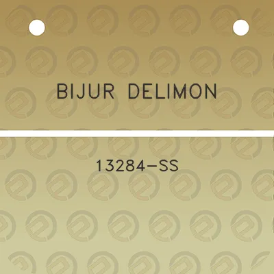 bijur-delimon-13284-ss