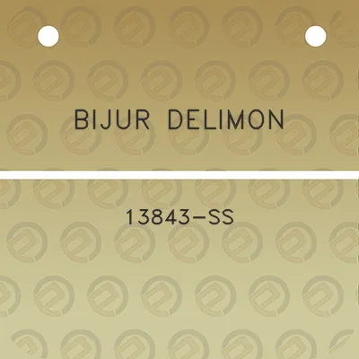 bijur-delimon-13843-ss