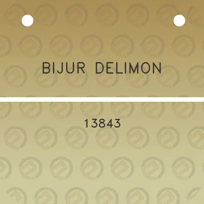 bijur-delimon-13843