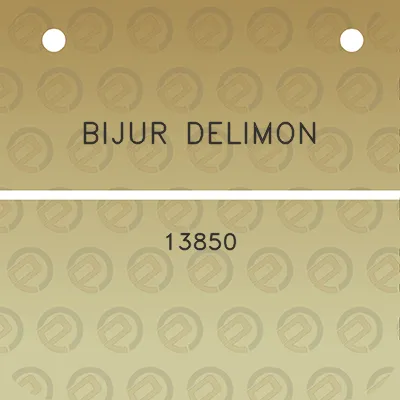 bijur-delimon-13850