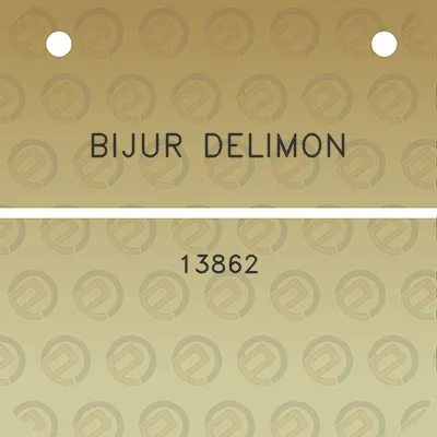 bijur-delimon-13862