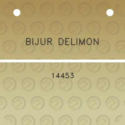 bijur-delimon-14453