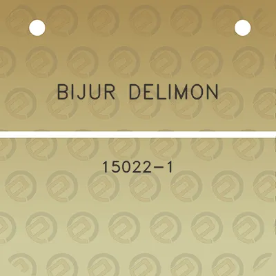 bijur-delimon-15022-1