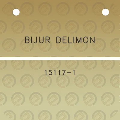 bijur-delimon-15117-1