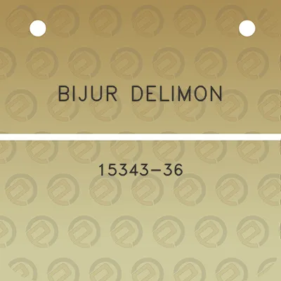 bijur-delimon-15343-36