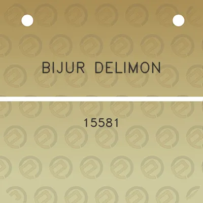 bijur-delimon-15581