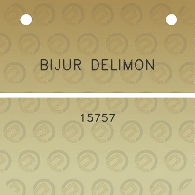 bijur-delimon-15757