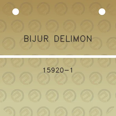 bijur-delimon-15920-1