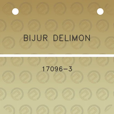 bijur-delimon-17096-3