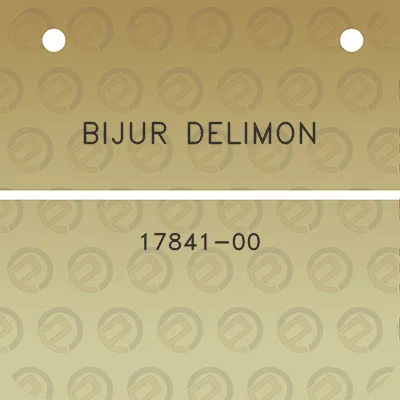 bijur-delimon-17841-00