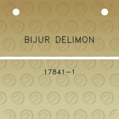 bijur-delimon-17841-1