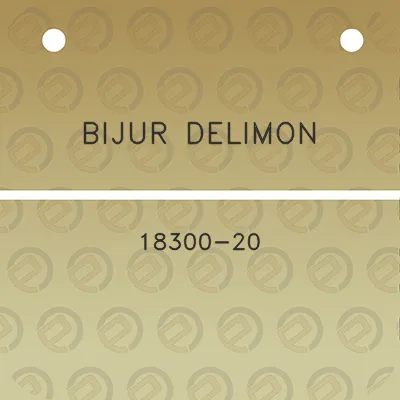 bijur-delimon-18300-20