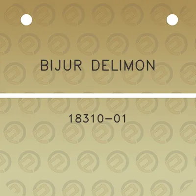 bijur-delimon-18310-01