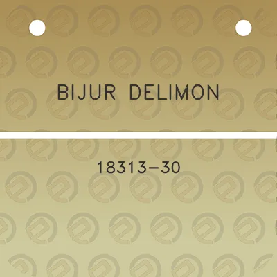 bijur-delimon-18313-30