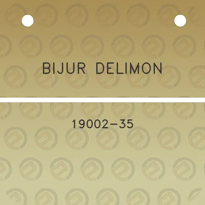 bijur-delimon-19002-35