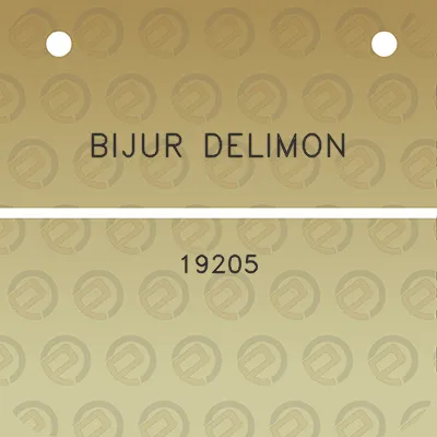 bijur-delimon-19205