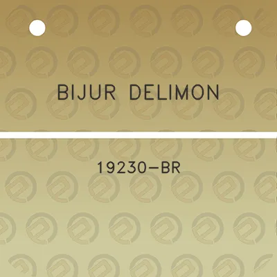 bijur-delimon-19230-br