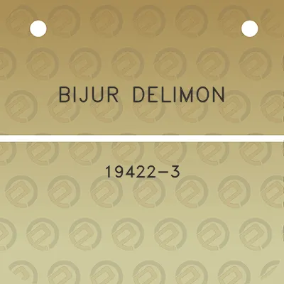 bijur-delimon-19422-3