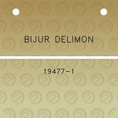 bijur-delimon-19477-1