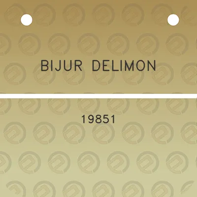 bijur-delimon-19851