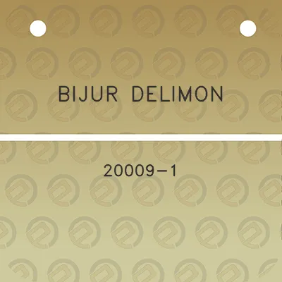 bijur-delimon-20009-1