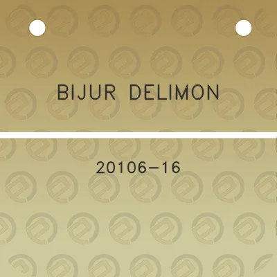 bijur-delimon-20106-16