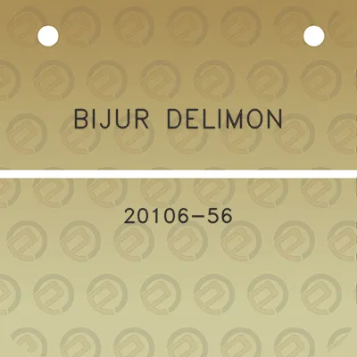 bijur-delimon-20106-56