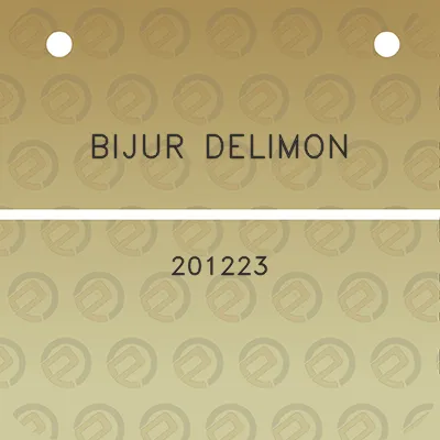 bijur-delimon-201223