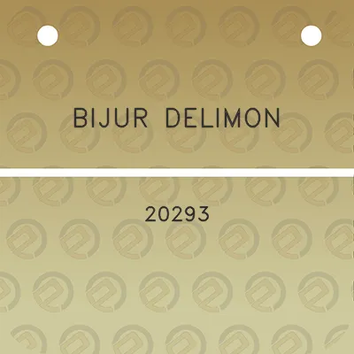 bijur-delimon-20293