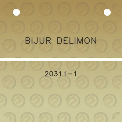 bijur-delimon-20311-1